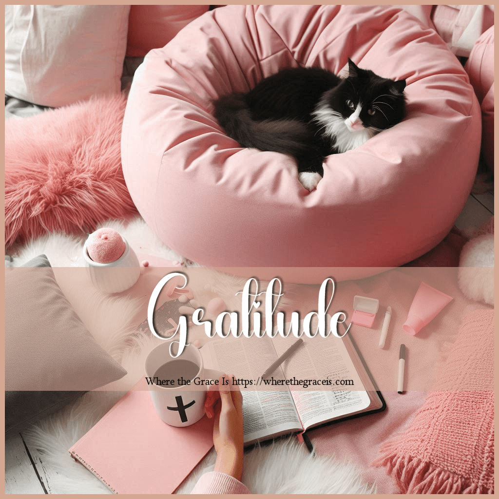 Gratitude – Wednesday’s Peace